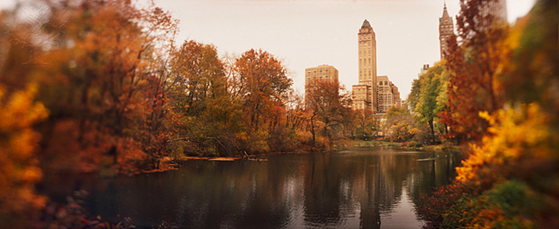 central park