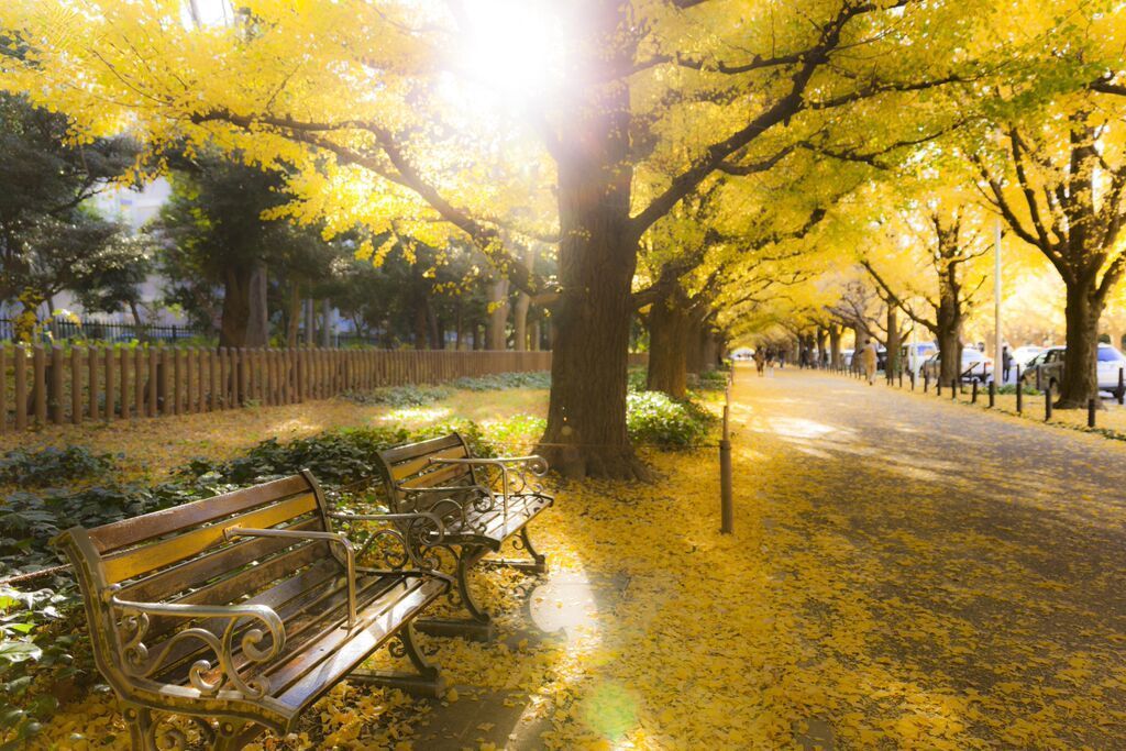 park