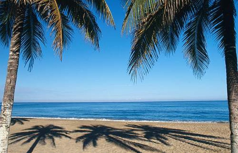 paradise
